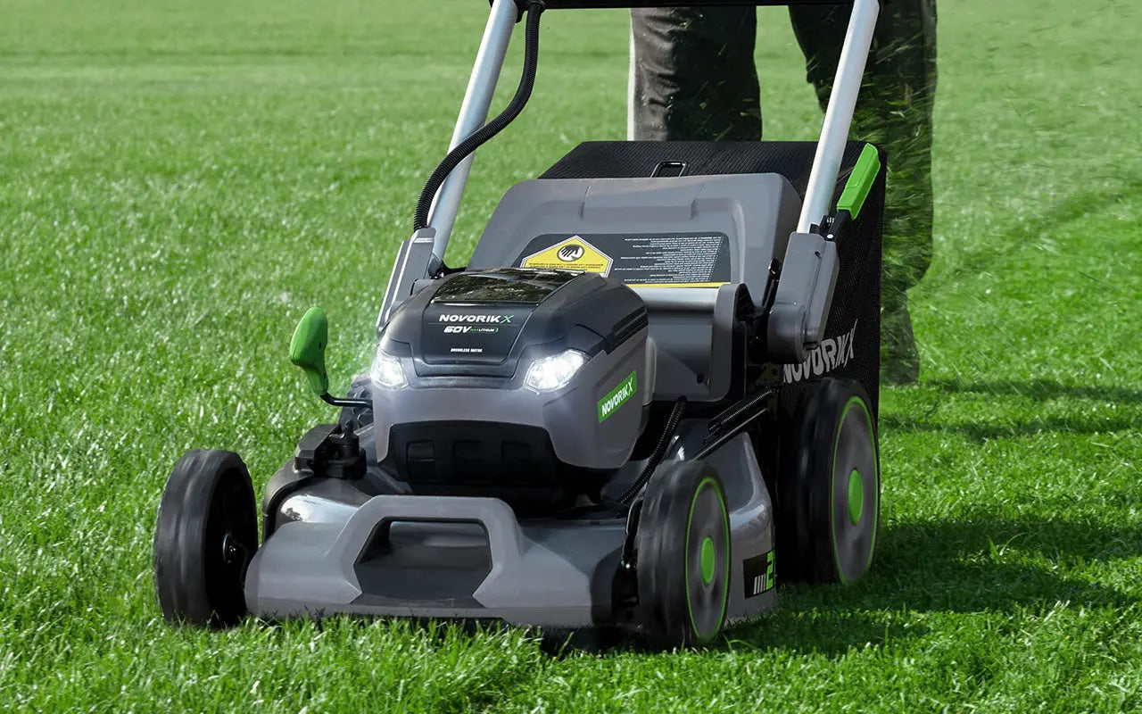 Spring-Starts-Here-Is-Your-Lawn-Ready-for-the-Season NovorikX